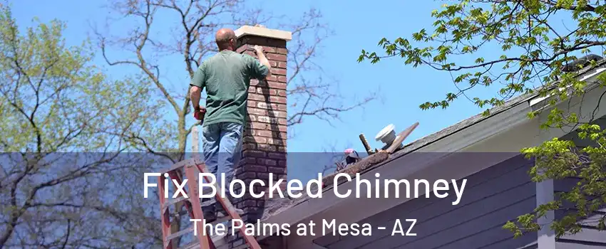 Fix Blocked Chimney The Palms at Mesa - AZ