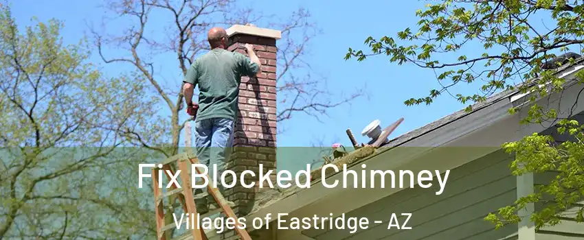 Fix Blocked Chimney Villages of Eastridge - AZ