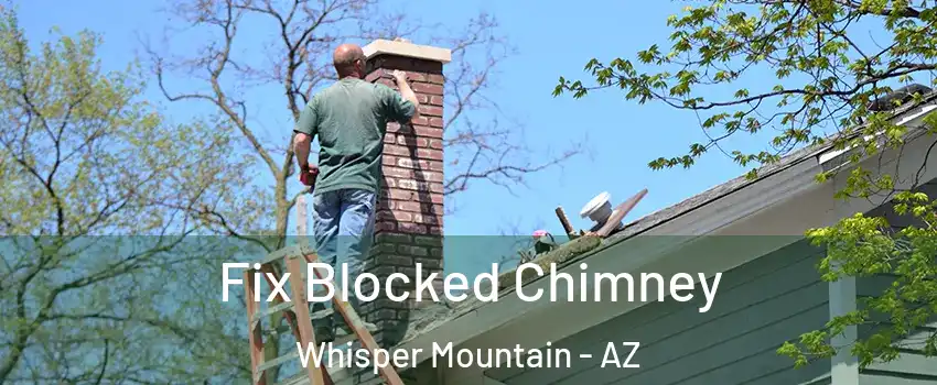 Fix Blocked Chimney Whisper Mountain - AZ