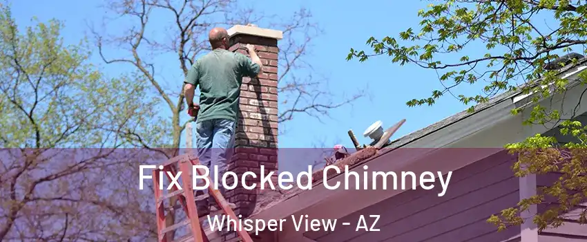 Fix Blocked Chimney Whisper View - AZ