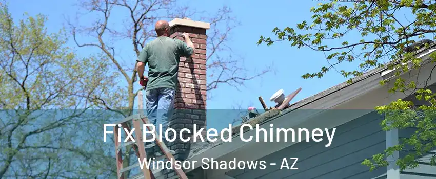 Fix Blocked Chimney Windsor Shadows - AZ