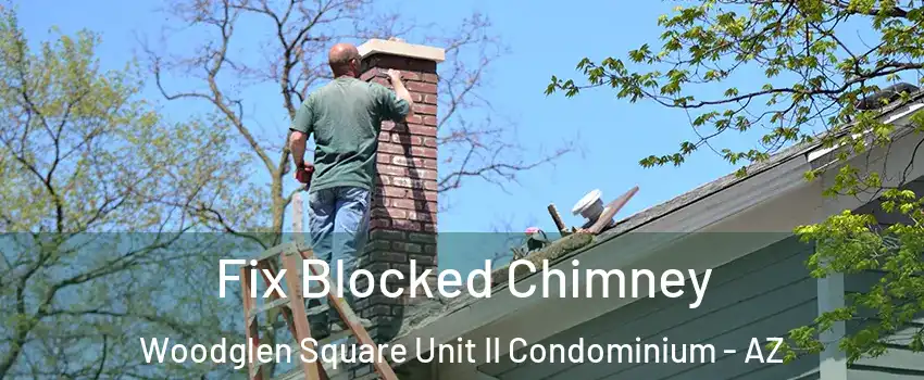 Fix Blocked Chimney Woodglen Square Unit II Condominium - AZ