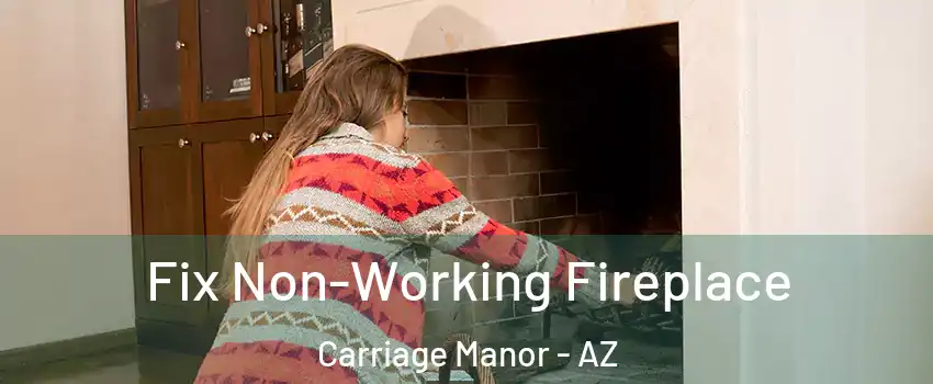 Fix Non-Working Fireplace Carriage Manor - AZ