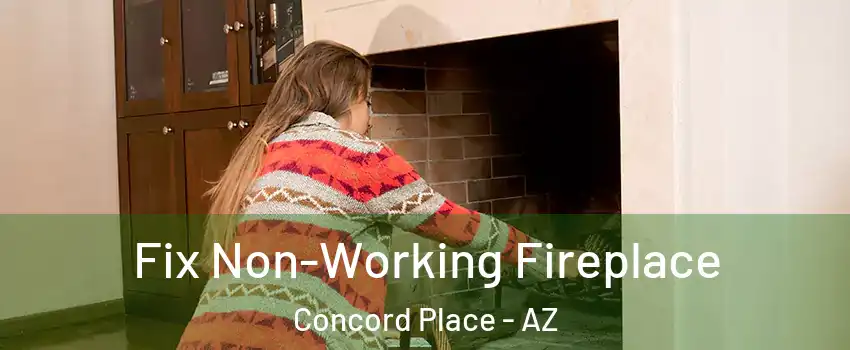 Fix Non-Working Fireplace Concord Place - AZ