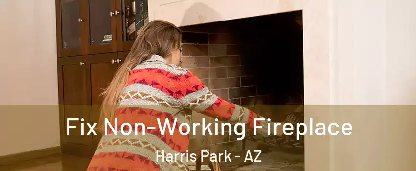 Fix Non-Working Fireplace Harris Park - AZ