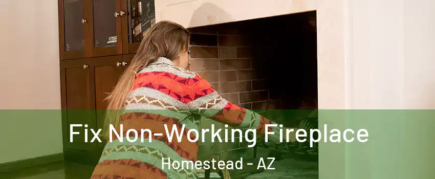 Fix Non-Working Fireplace Homestead - AZ