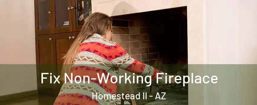 Fix Non-Working Fireplace Homestead II - AZ