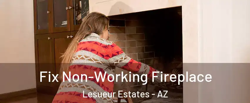 Fix Non-Working Fireplace Lesueur Estates - AZ
