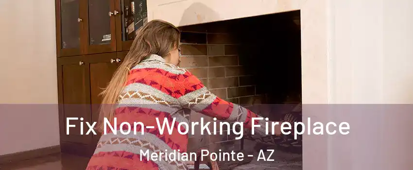 Fix Non-Working Fireplace Meridian Pointe - AZ