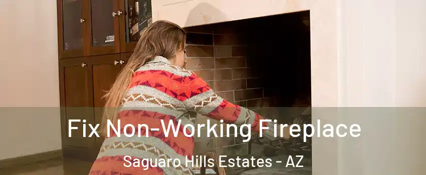 Fix Non-Working Fireplace Saguaro Hills Estates - AZ