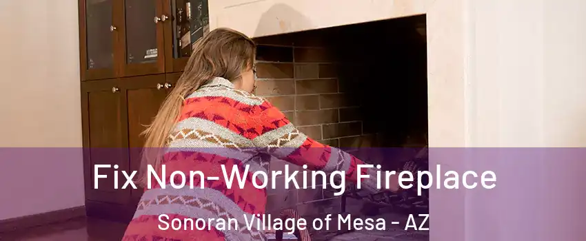 Fix Non-Working Fireplace Sonoran Village of Mesa - AZ