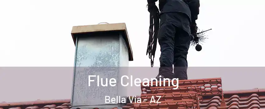 Flue Cleaning Bella Via - AZ