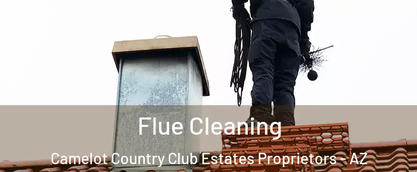 Flue Cleaning Camelot Country Club Estates Proprietors - AZ