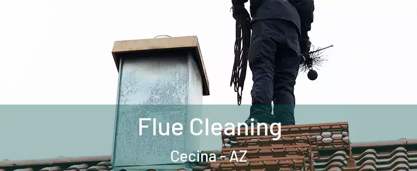 Flue Cleaning Cecina - AZ