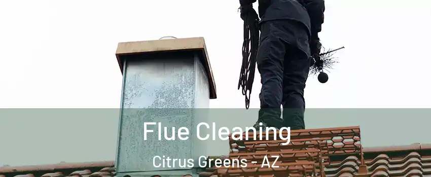 Flue Cleaning Citrus Greens - AZ