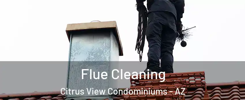 Flue Cleaning Citrus View Condominiums - AZ
