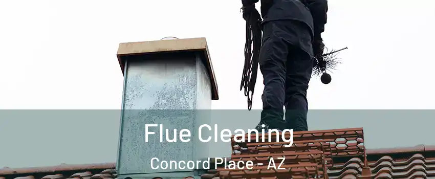 Flue Cleaning Concord Place - AZ