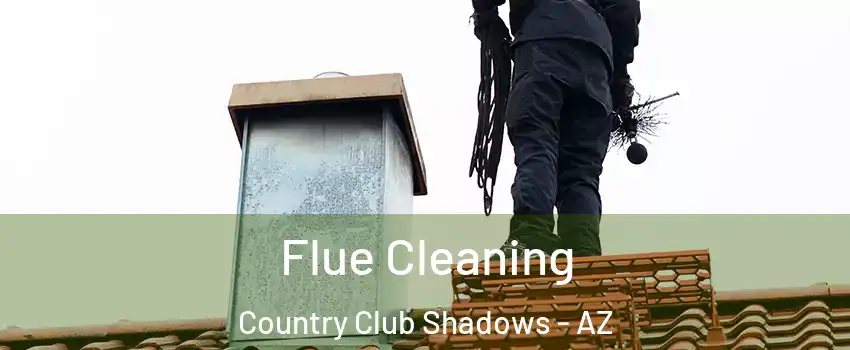 Flue Cleaning Country Club Shadows - AZ