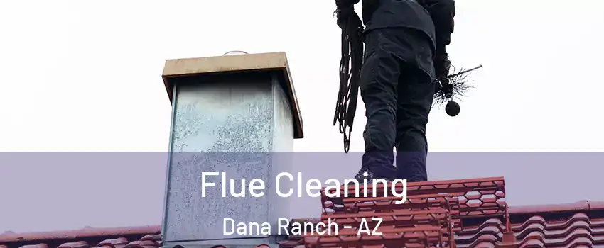Flue Cleaning Dana Ranch - AZ