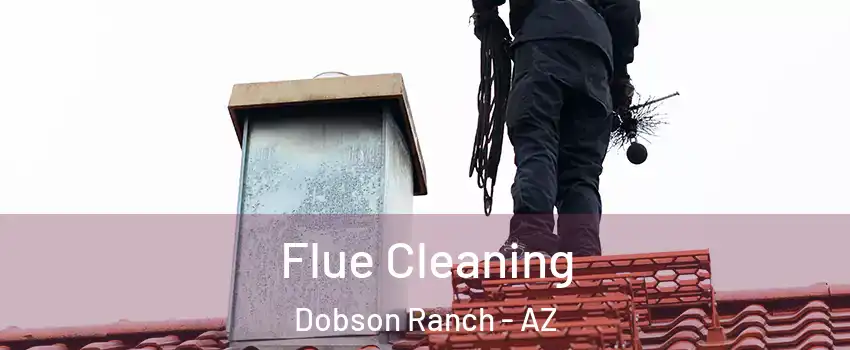 Flue Cleaning Dobson Ranch - AZ
