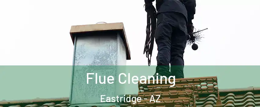 Flue Cleaning Eastridge - AZ
