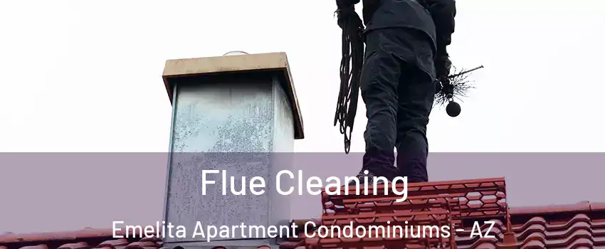 Flue Cleaning Emelita Apartment Condominiums - AZ
