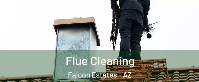 Flue Cleaning Falcon Estates - AZ