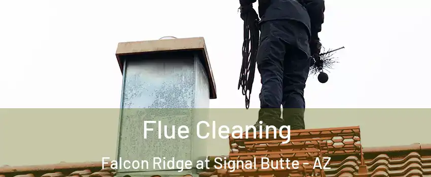 Flue Cleaning Falcon Ridge at Signal Butte - AZ