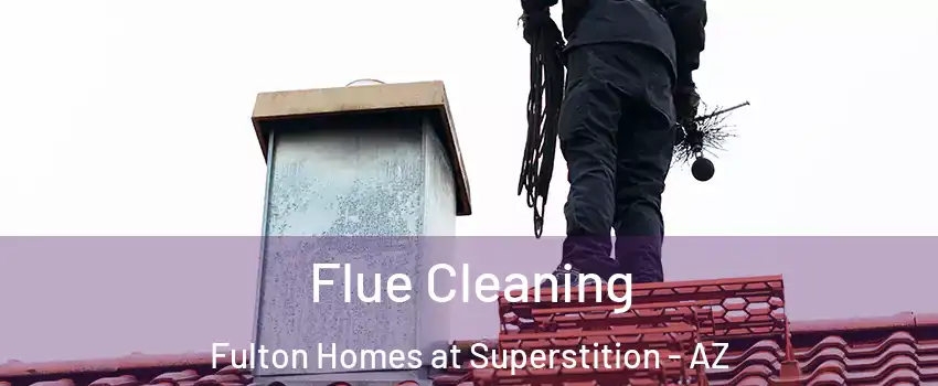 Flue Cleaning Fulton Homes at Superstition - AZ