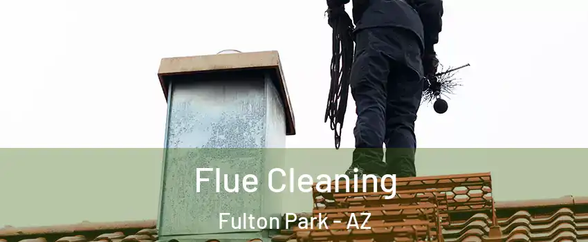 Flue Cleaning Fulton Park - AZ
