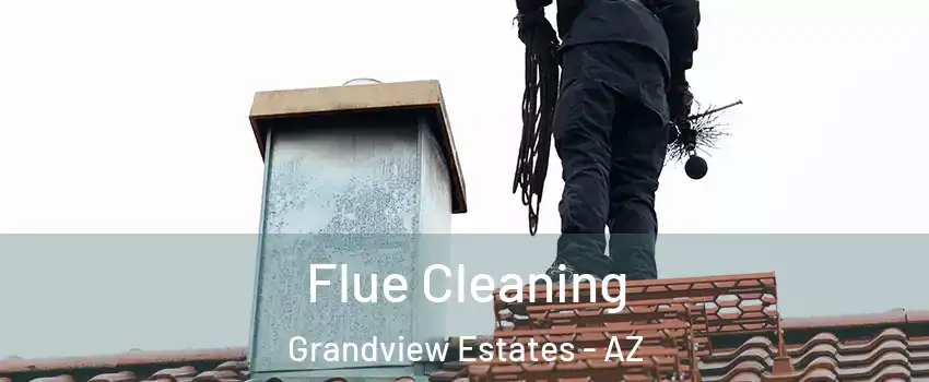 Flue Cleaning Grandview Estates - AZ