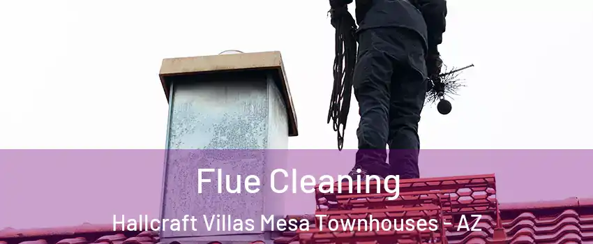 Flue Cleaning Hallcraft Villas Mesa Townhouses - AZ