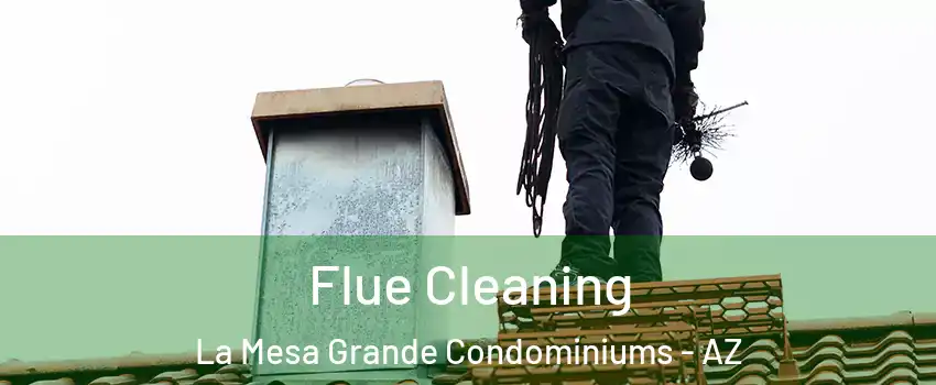 Flue Cleaning La Mesa Grande Condominiums - AZ