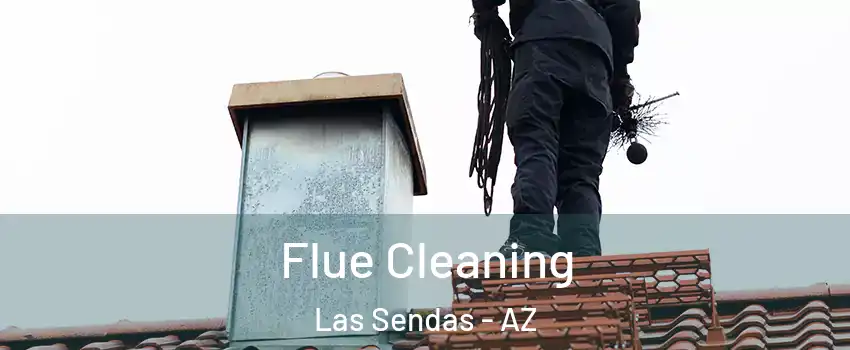 Flue Cleaning Las Sendas - AZ