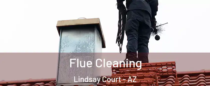 Flue Cleaning Lindsay Court - AZ