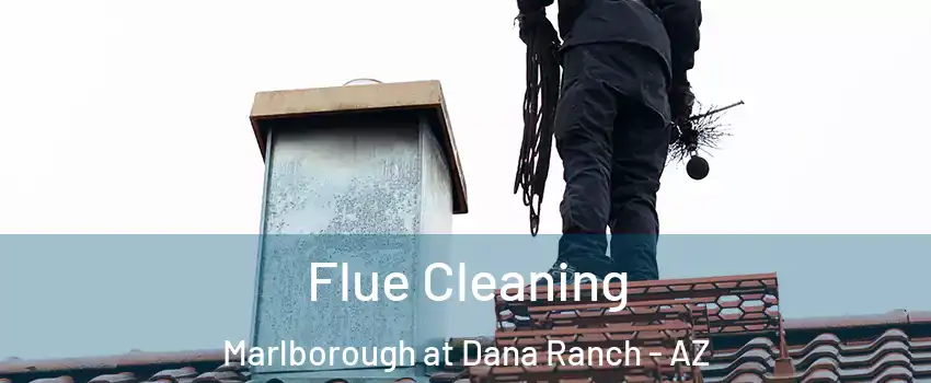 Flue Cleaning Marlborough at Dana Ranch - AZ