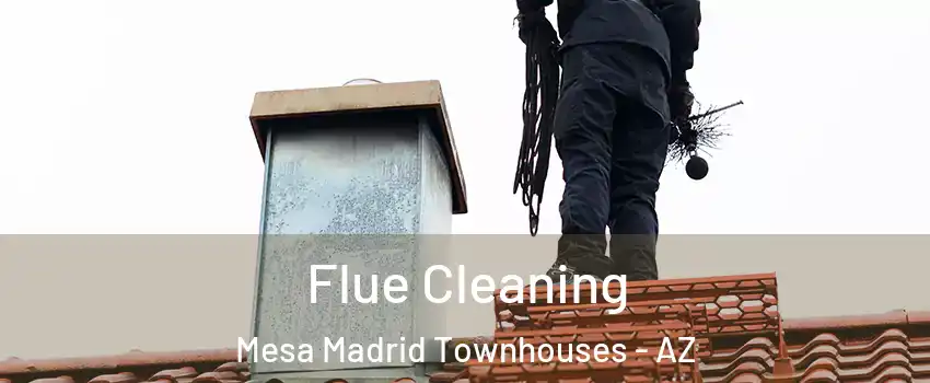 Flue Cleaning Mesa Madrid Townhouses - AZ