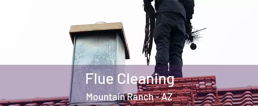 Flue Cleaning Mountain Ranch - AZ