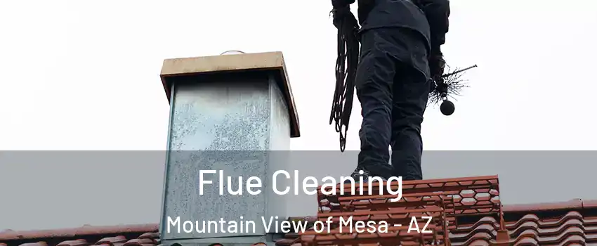 Flue Cleaning Mountain View of Mesa - AZ