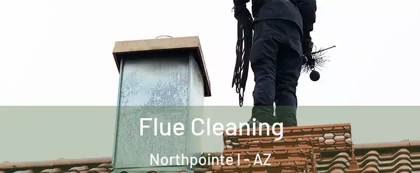 Flue Cleaning Northpointe I - AZ