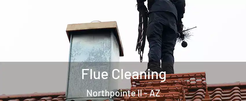 Flue Cleaning Northpointe II - AZ