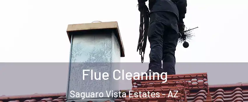 Flue Cleaning Saguaro Vista Estates - AZ