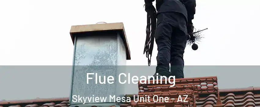Flue Cleaning Skyview Mesa Unit One - AZ