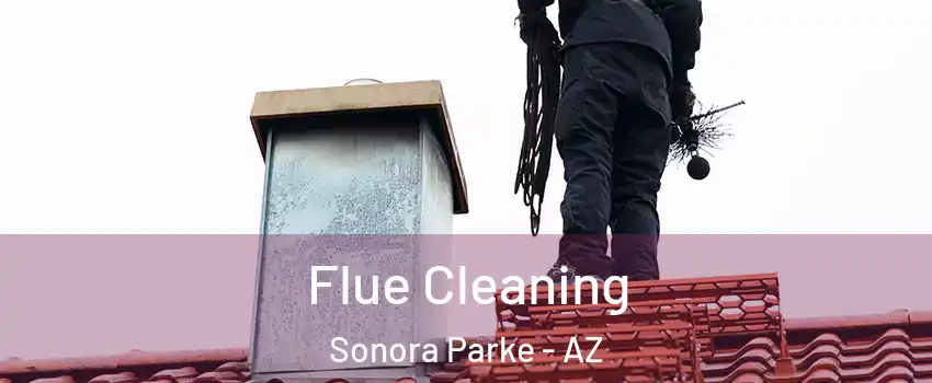 Flue Cleaning Sonora Parke - AZ