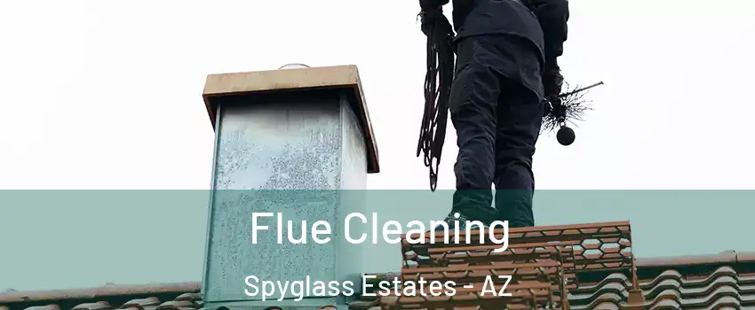 Flue Cleaning Spyglass Estates - AZ
