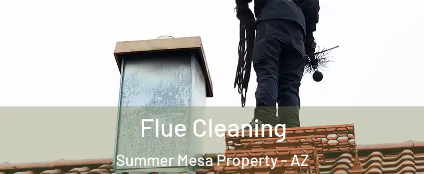 Flue Cleaning Summer Mesa Property - AZ