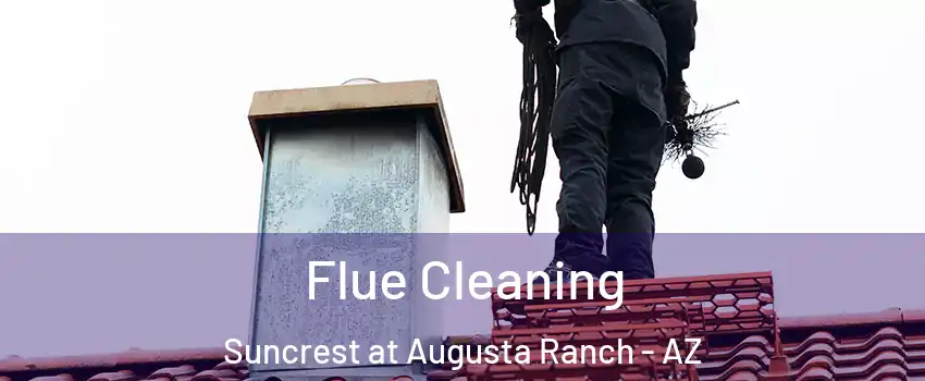 Flue Cleaning Suncrest at Augusta Ranch - AZ