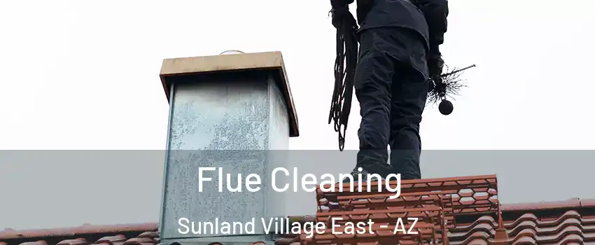 Flue Cleaning Sunland Village East - AZ