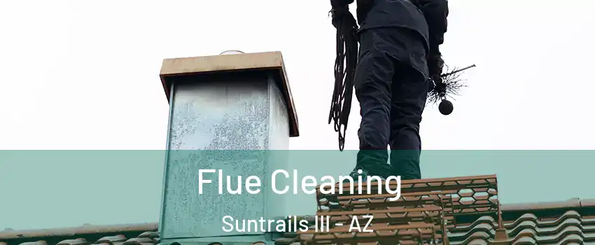 Flue Cleaning Suntrails III - AZ