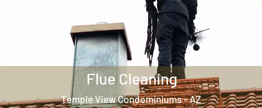 Flue Cleaning Temple View Condominiums - AZ